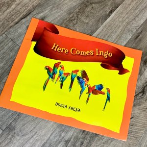 here comes ingo gift bundle for kids